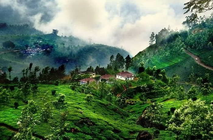 Discover Coorg, Ooty & Wayanad: Hills, Forests & Fresh Air!