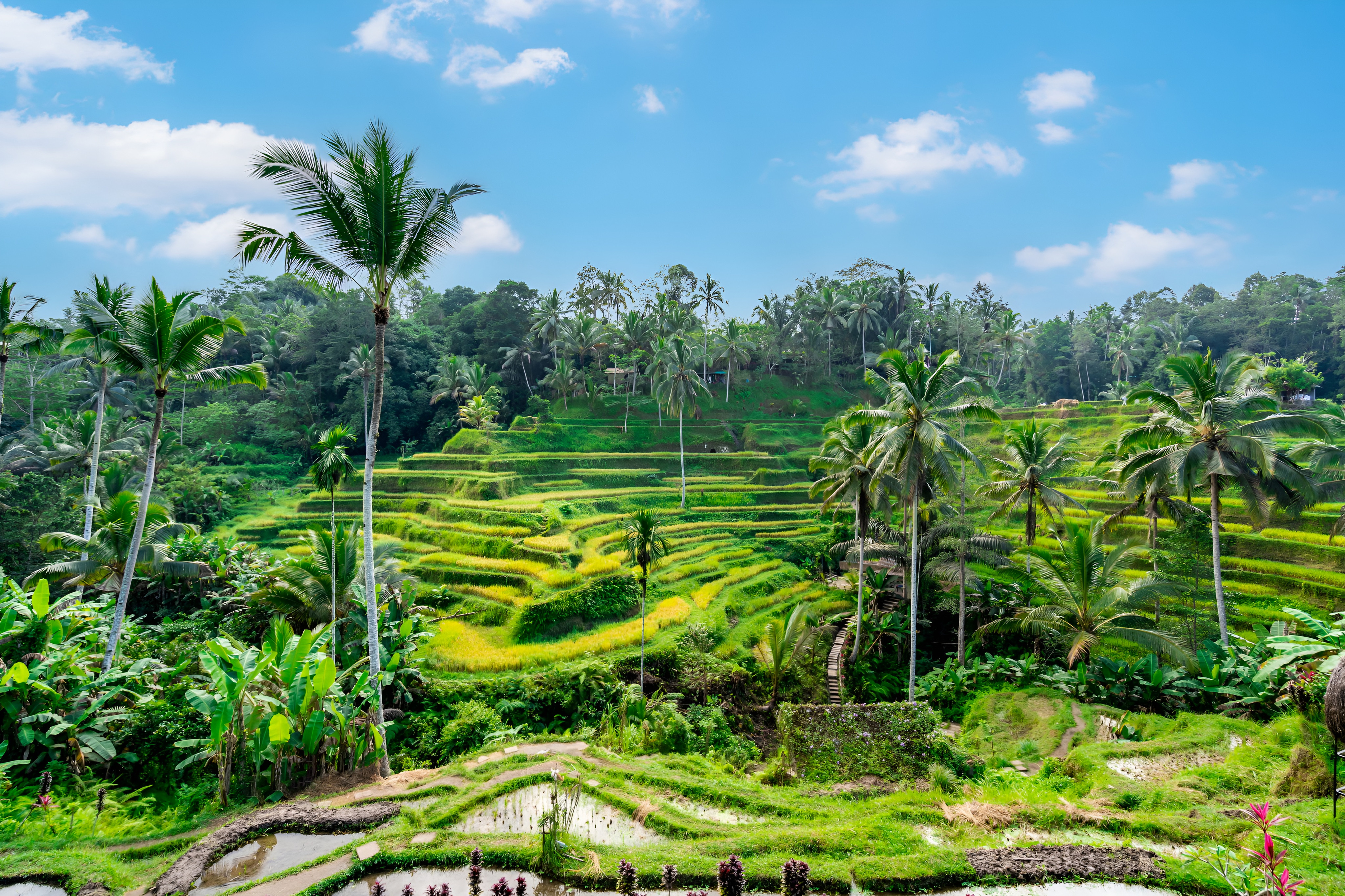 Bali Adventure & Culture Tours
