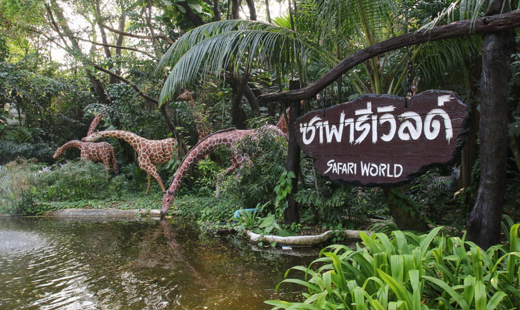 Safari World