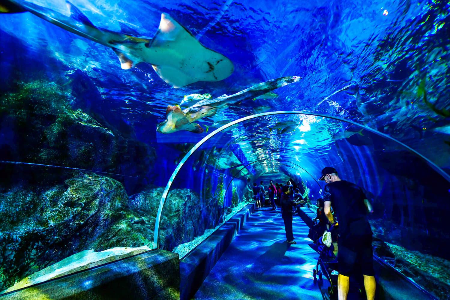 Sea Life Bangkok Ocean World