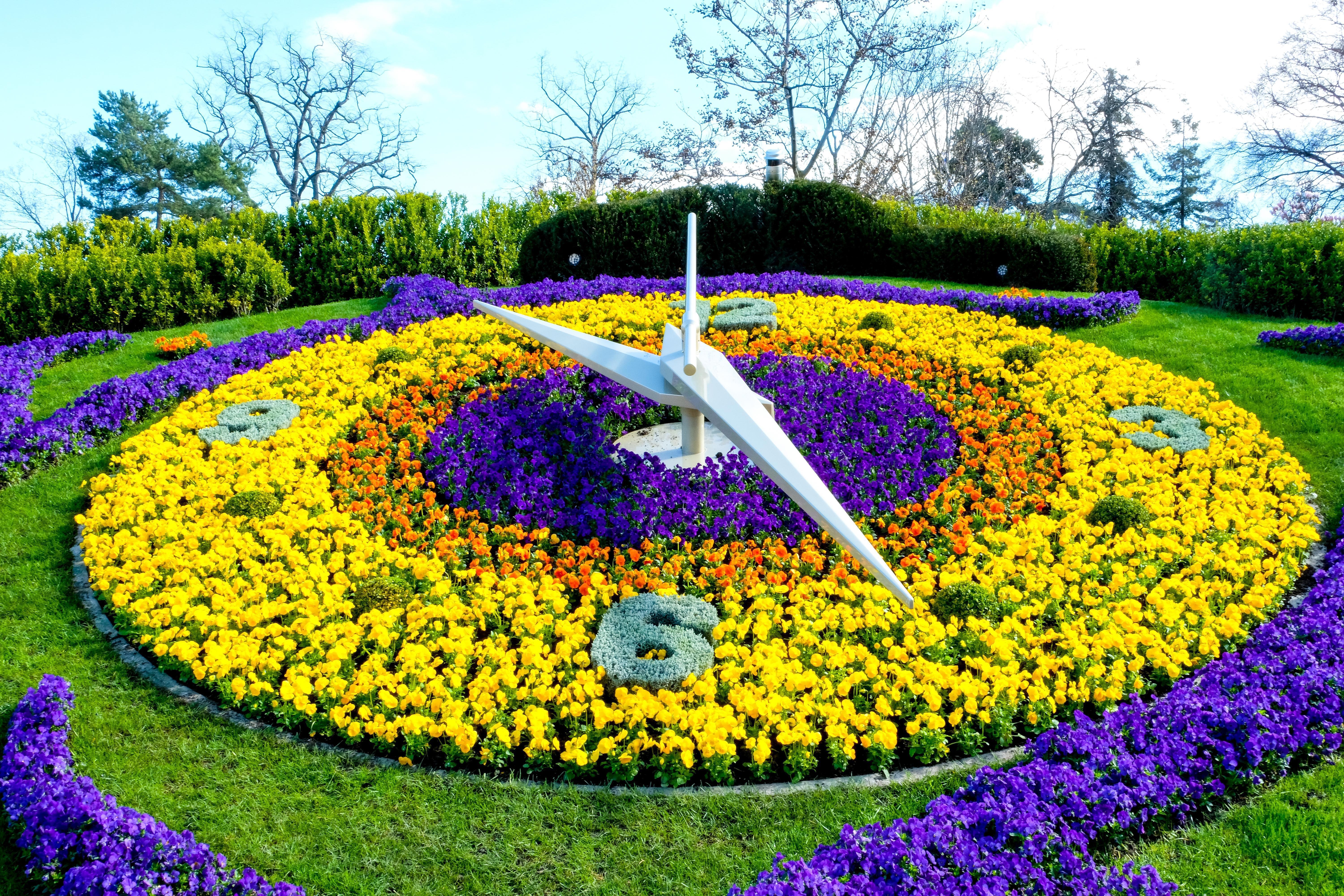 The Flower Clock