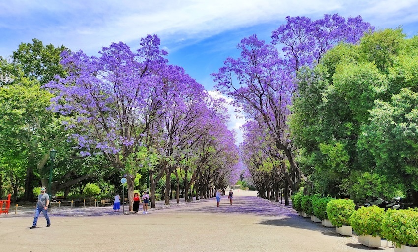 National Garden