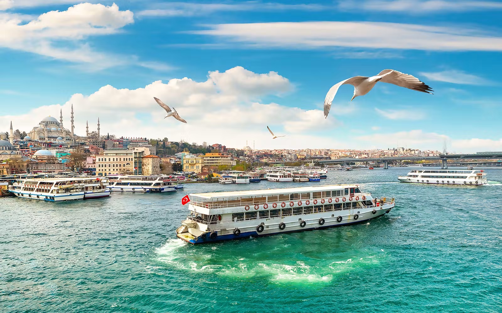 Bosphorus Cruise
