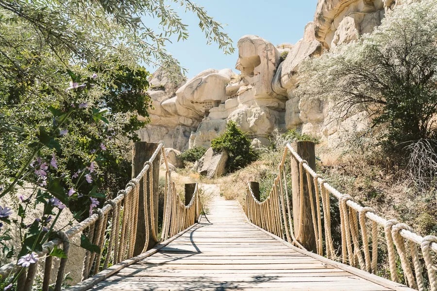 Pigeon Valley