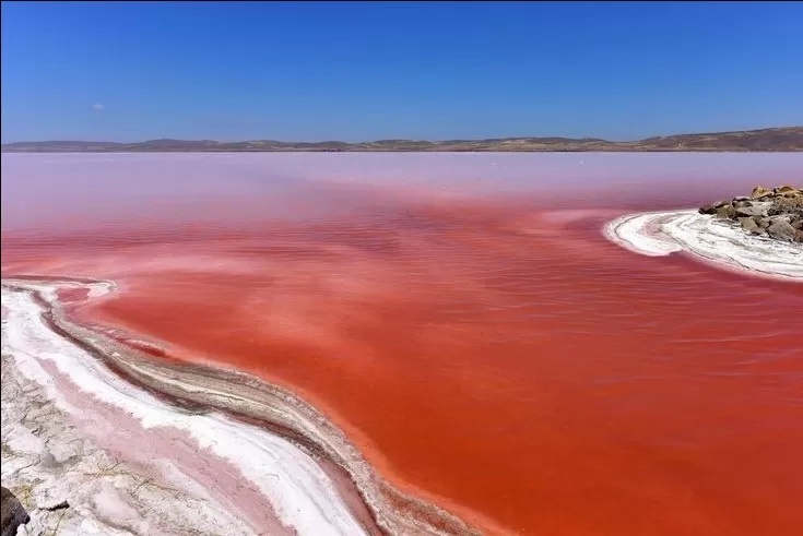 Salt Lake