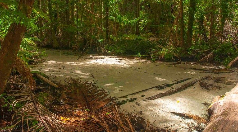 Wanggoolba Creek