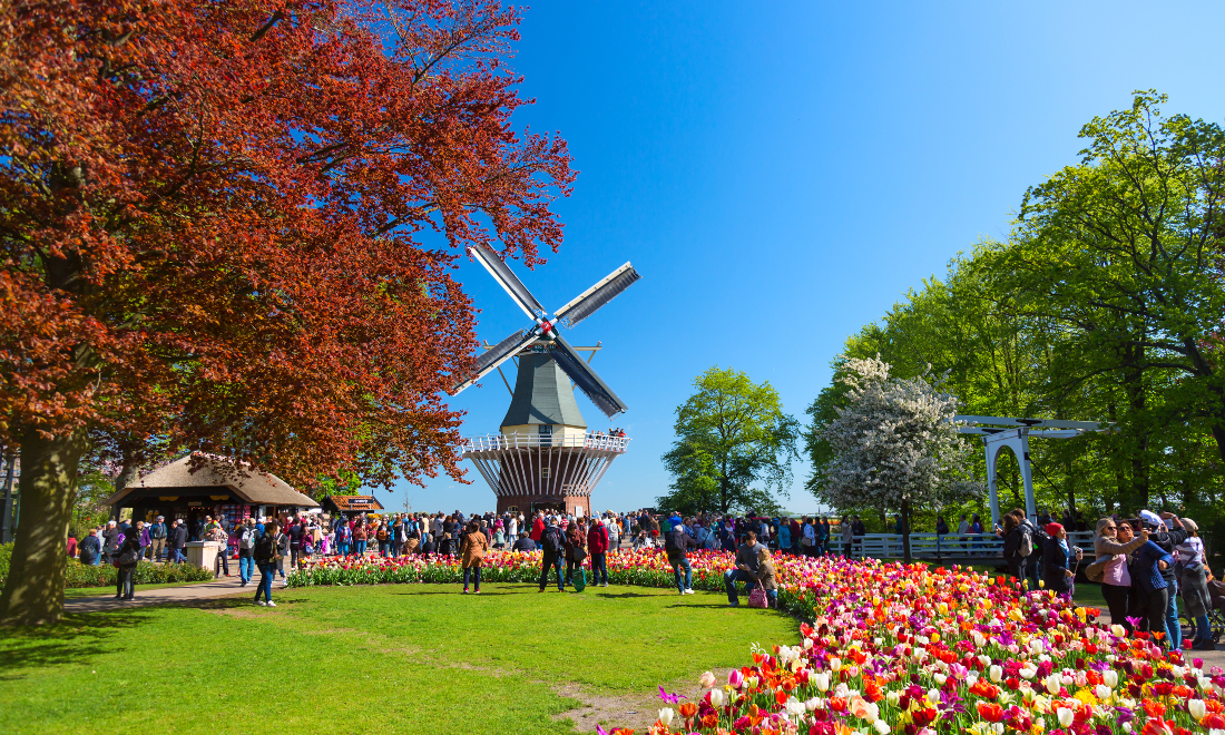 Netherland Tours