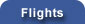 Flights Search