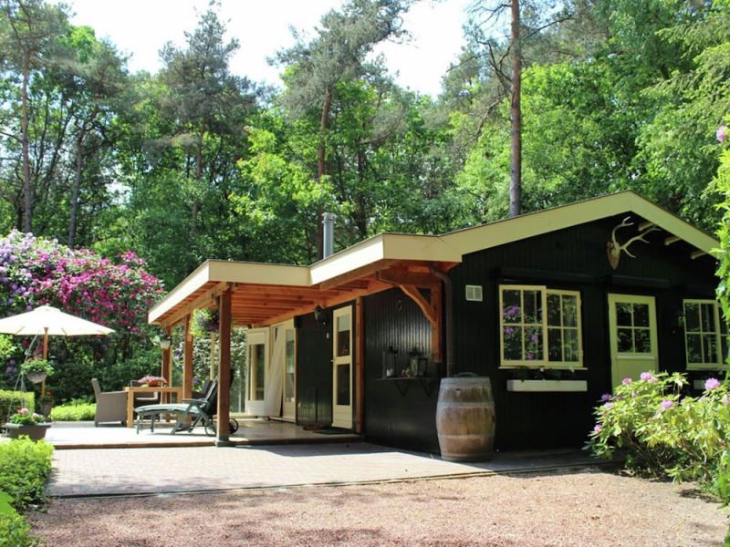 Romantic Wellness Bungalow for Two, set in the Forest, With a Sauna and Jacuzzi, Ambt Delden, Netherlands