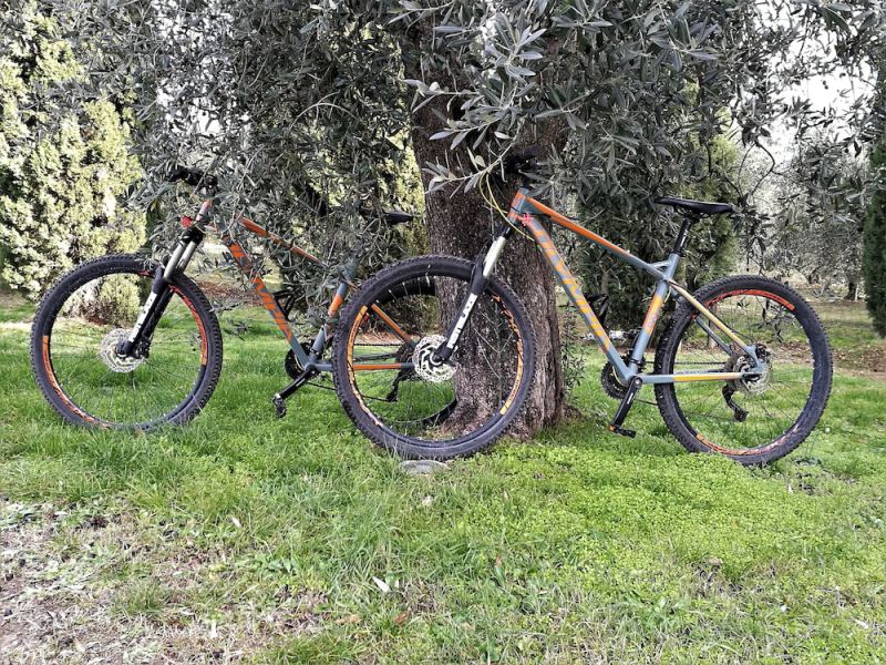 Argiano Dimore
