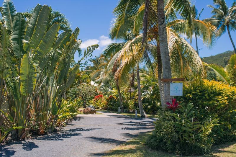 Arcadia Retreat Rarotonga, Rarotonga, Cook Islands