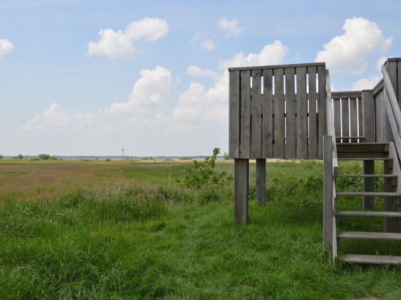 Modern Holiday Home in Kollumerland c.a With Private Garden, Kollum, Netherlands