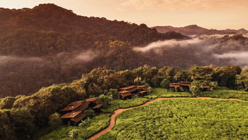Hotels in Nyungwe Forest Reserve