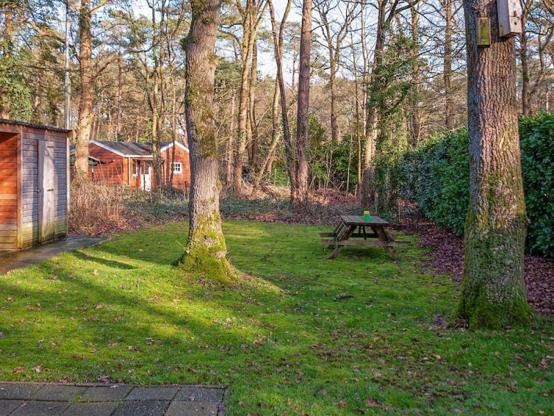 Attractive Holiday Home in Norg in the Countryside, Norg, Netherlands
