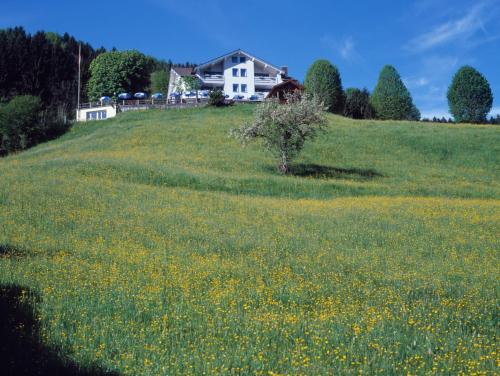 Hotel Freudenberg