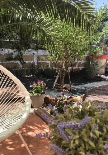Casa VivaQi Tenerife