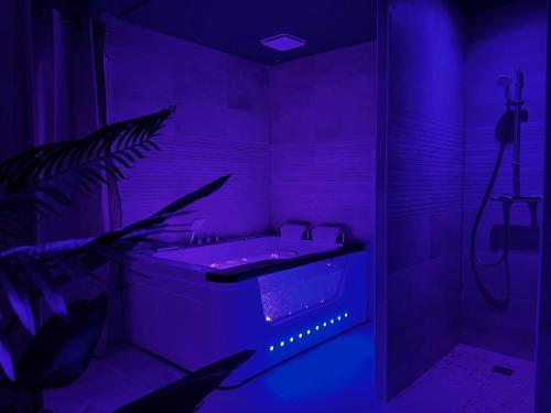 Appartement Deluxe Spa & Sauna, Tregastel, France