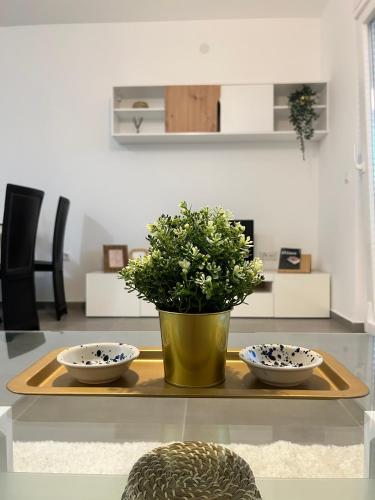Apartman Panonica, Virovitica, Croatia