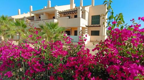 Casa Rust en Ruimte, Murcia, Spain