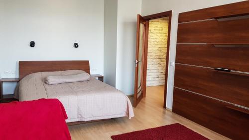 Old Kaunas Apartment