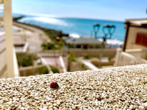 Casa Vacanze Dalla Nonna