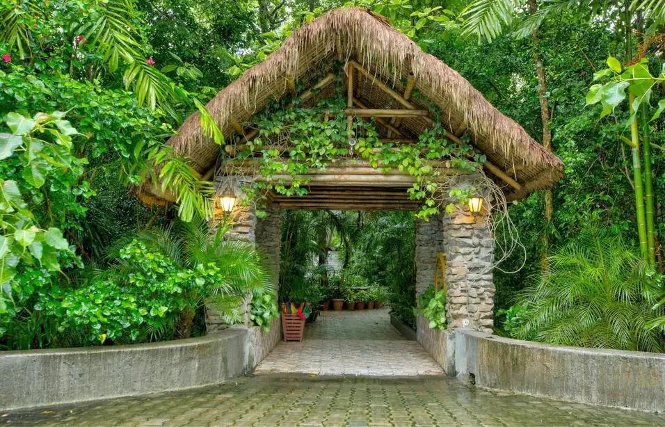 Resort Borgos, Kaziranga, India