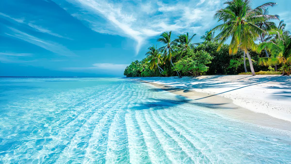Maldives Tours