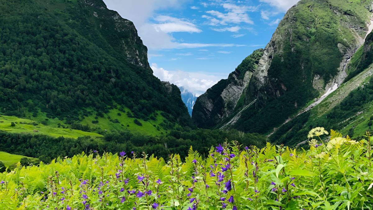 Uttarakhand Tours
