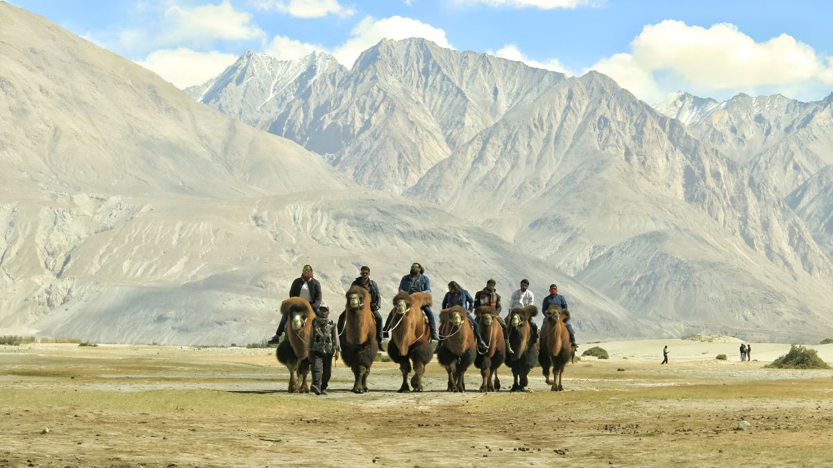 Ladakh Tours