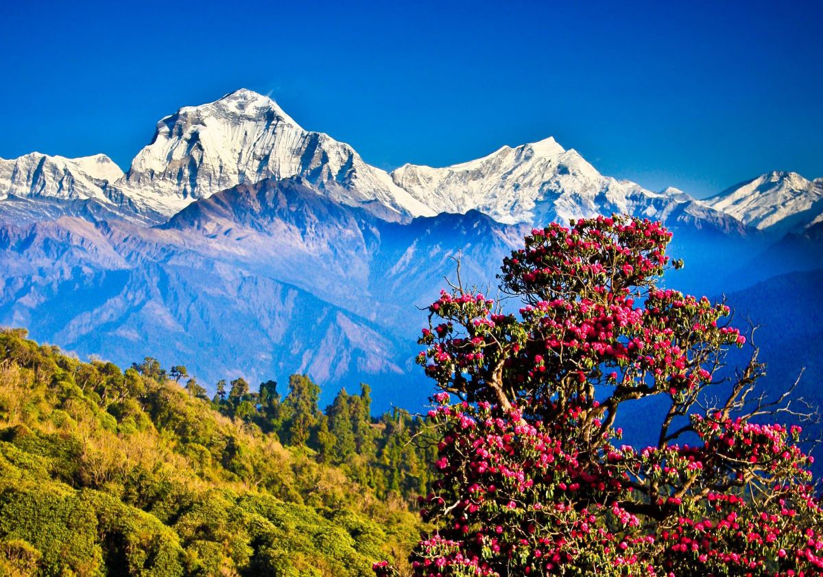 Nepal Tours