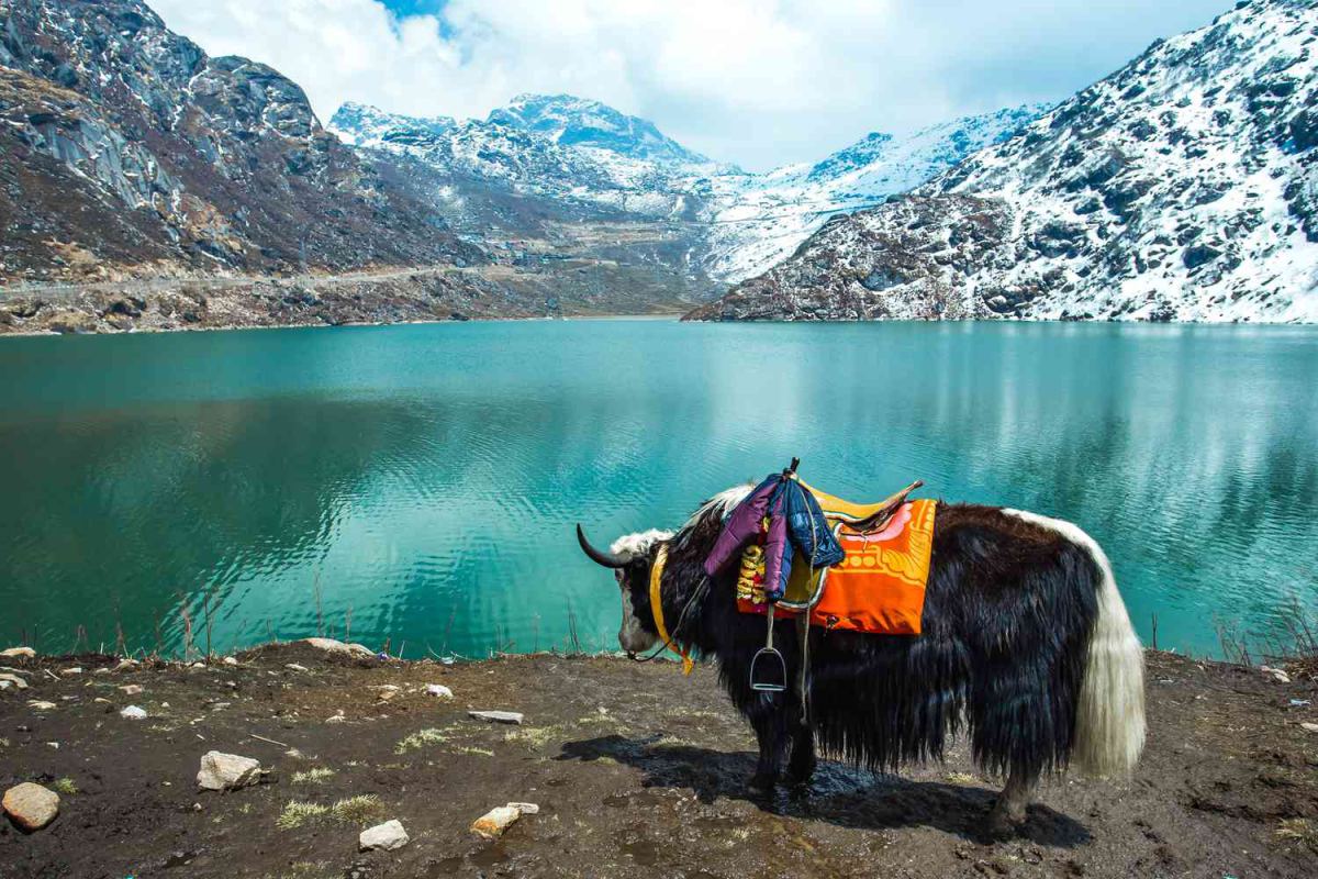 Sikkim Tours