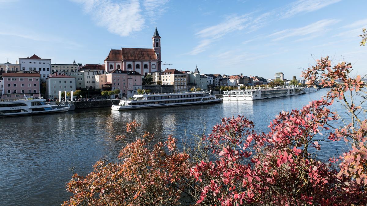 Rhine River Cruise