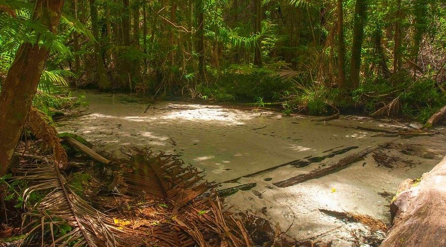 Wanggoolba Creek