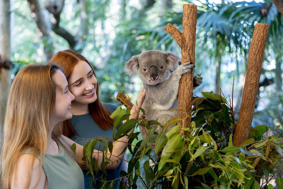 Koala & Kangaroo Sanctuary