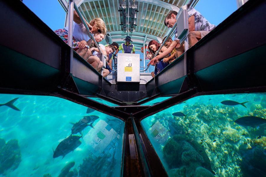 Glass Bottom Boat