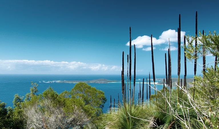 Yacaaba Headland
