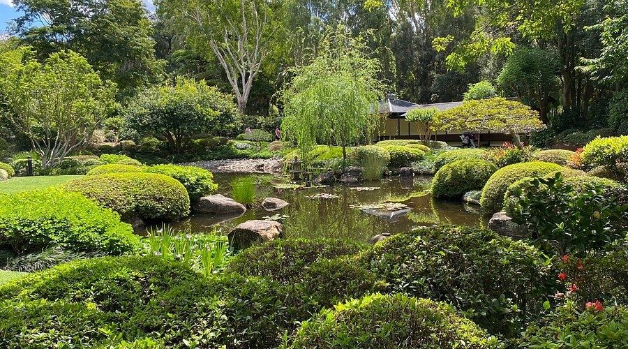 Brisbane City Botanic Gardens