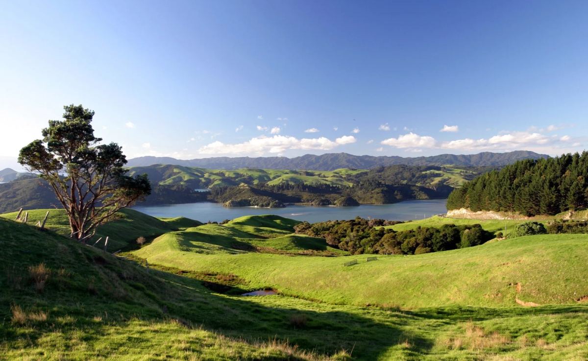 Scenic Waikato Countryside