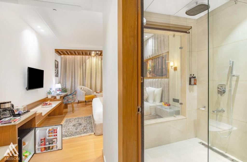Hotel Arison Luxury