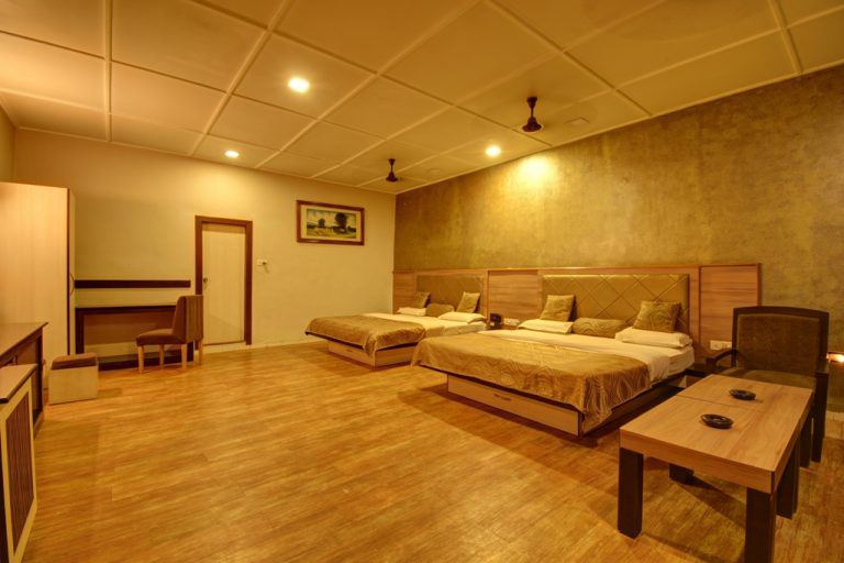 Hotel Savera Palace