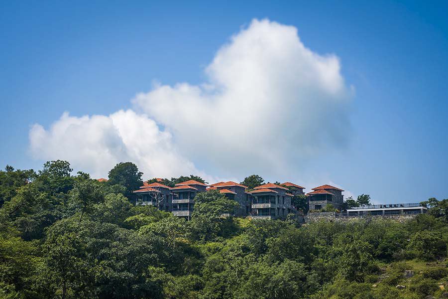 Wild Retreat Resort