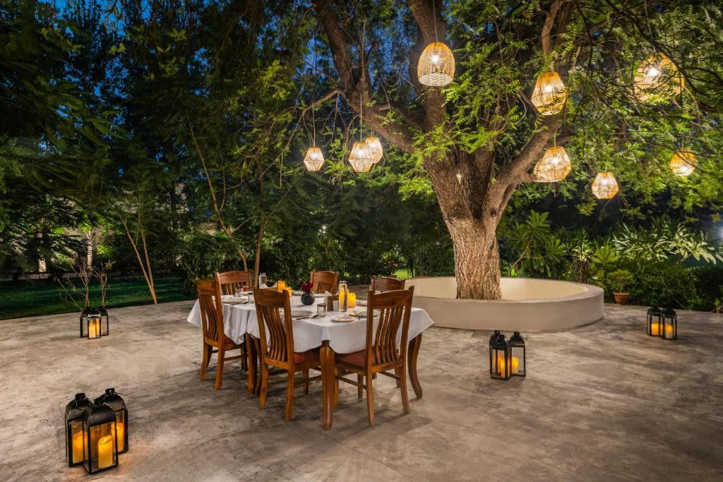 ZANA Forest Resort
