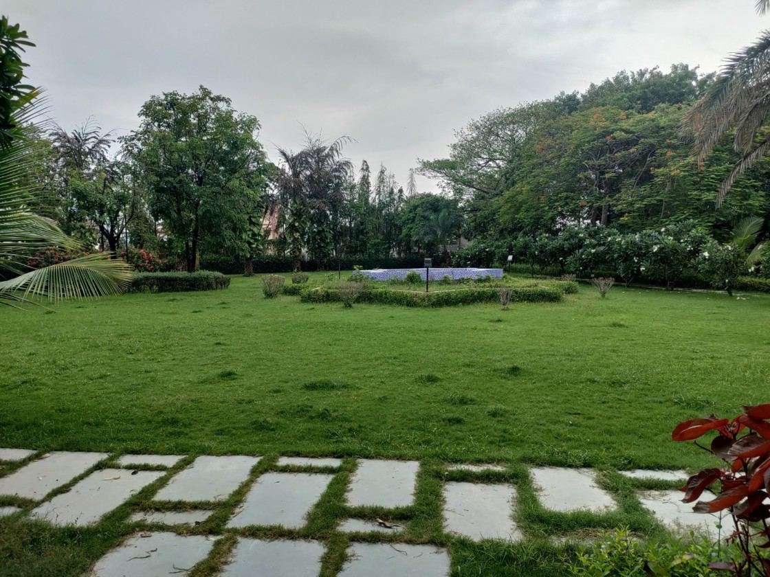 Mazaar E Maisaheba Dandi