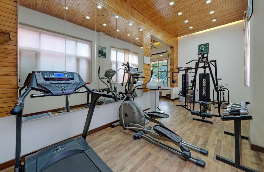 Bravia Hotel Manali Inn