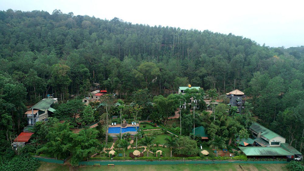 Jungle Camp Backwater Resort Hotel
