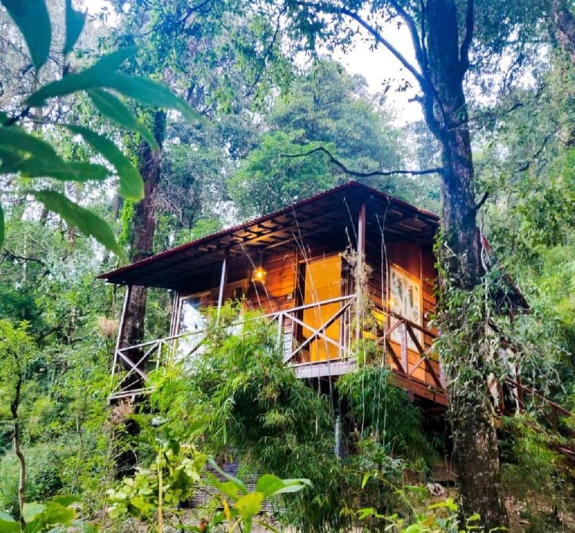 Ayar Jungle Resort