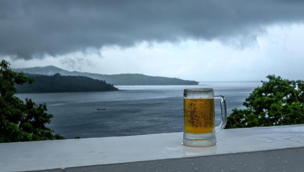 Sea Shell Port Blair