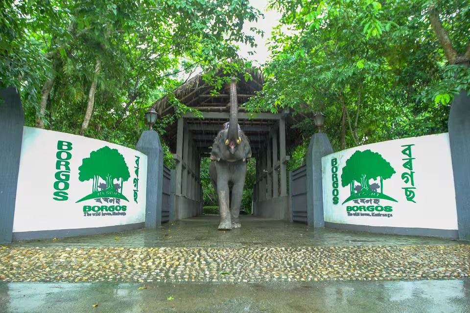 Resort Borgos