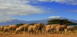 Kenya tours