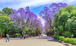 National Garden